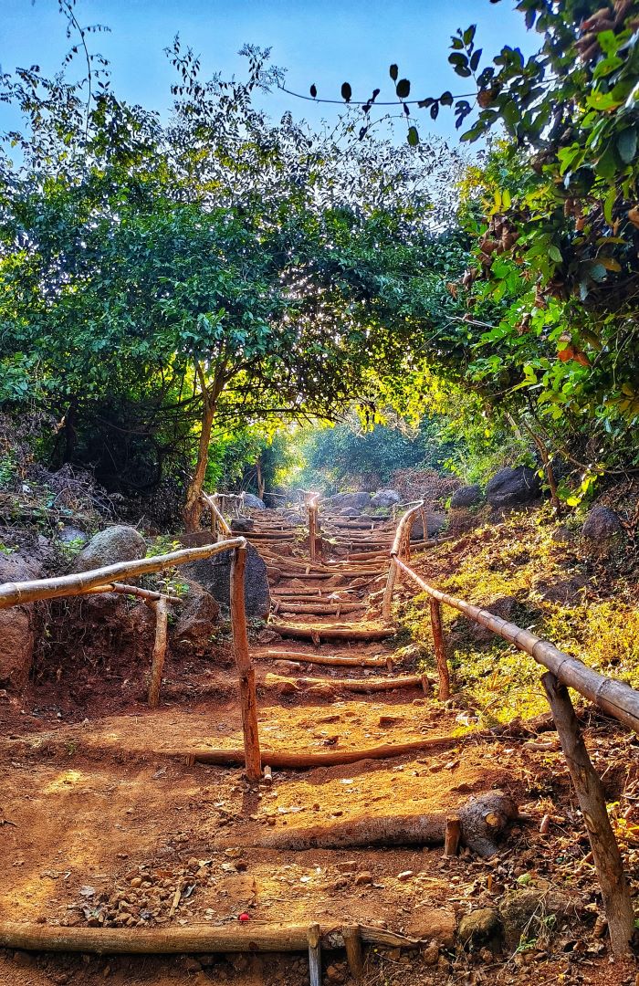 By my friend Snehanshu A dirt path with wooden steps and handrails winds through a lush, green forest. Sunlight filters through the trees, casting dappled shadows on the ground